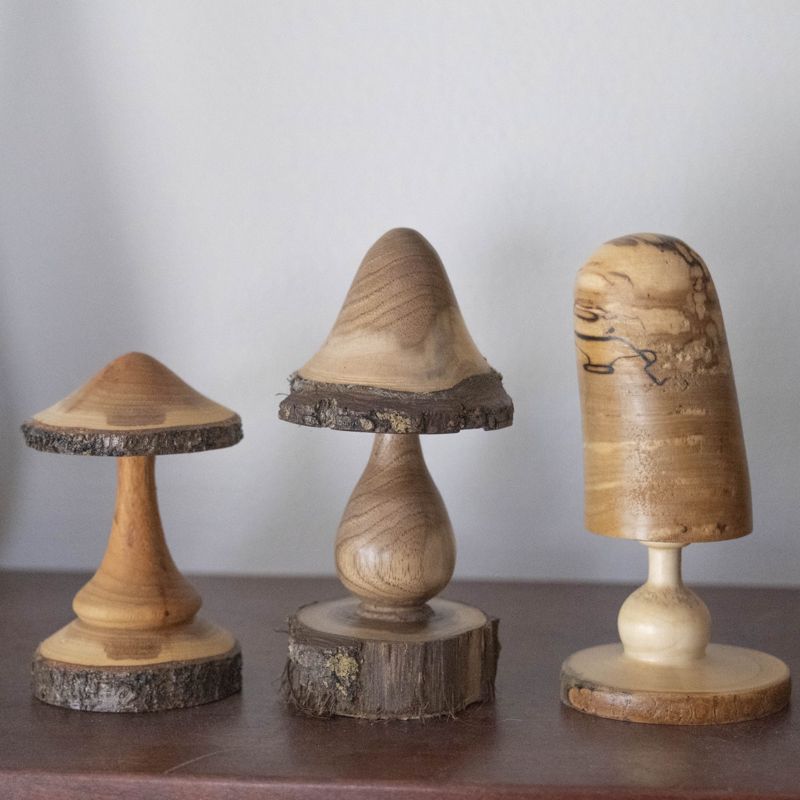 May 2025 – Turning Mushrooms